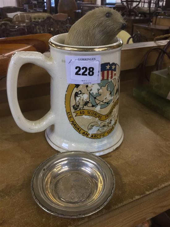 Operation Deep Freeze mug and other polar items, 3 pictures, seal and dish(-)